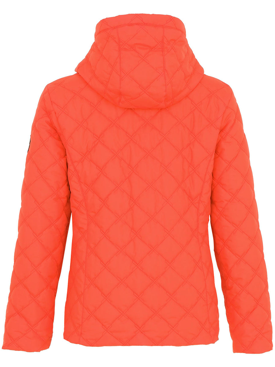 74817-coral-back_4248b38f-efe5-4649-9aa6-b32b805b338c.jpg
