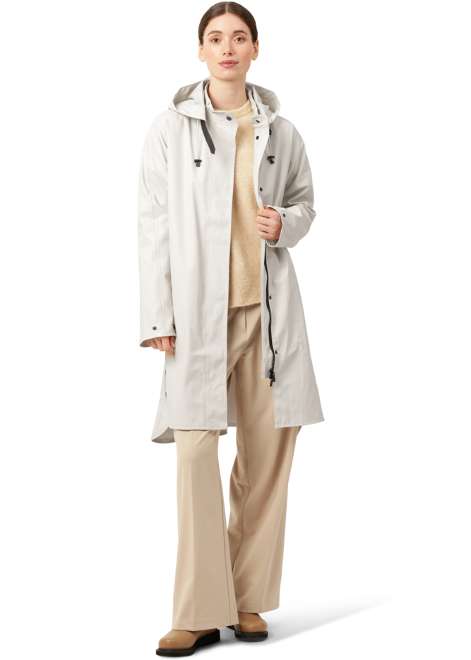 RAIN71-121_F_300-preview_png.png